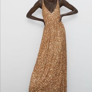 New Limited Edition Sequin Zara Dress